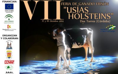 VII FERIA DE GANADO FRISÓN «USÍAS HOLSTEINS»