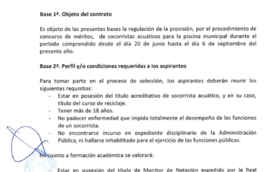 SELECCIÓN SOCORRISTAS VERANO 2015 CONCURSO MERITOS