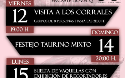 FESTEJOS TAURINOS FERIA 2016