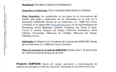 OFERTA DE EMPLEO. ADROCHES