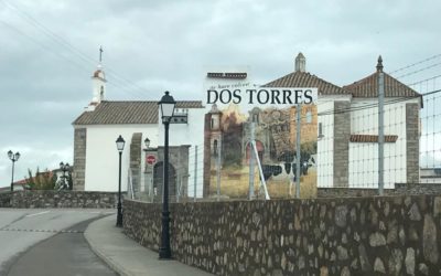 FINALIZADA LA INTERVENCIÓN PICTÓRICA EN MURAL DE ACCESO AL MUNICIPIO DE DOS TORRES