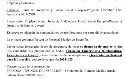 EMPLEaJOVEN, EMPLEa30, EMPLEa45 y PERSONAL TÉCNICO DE INSERCIÓN